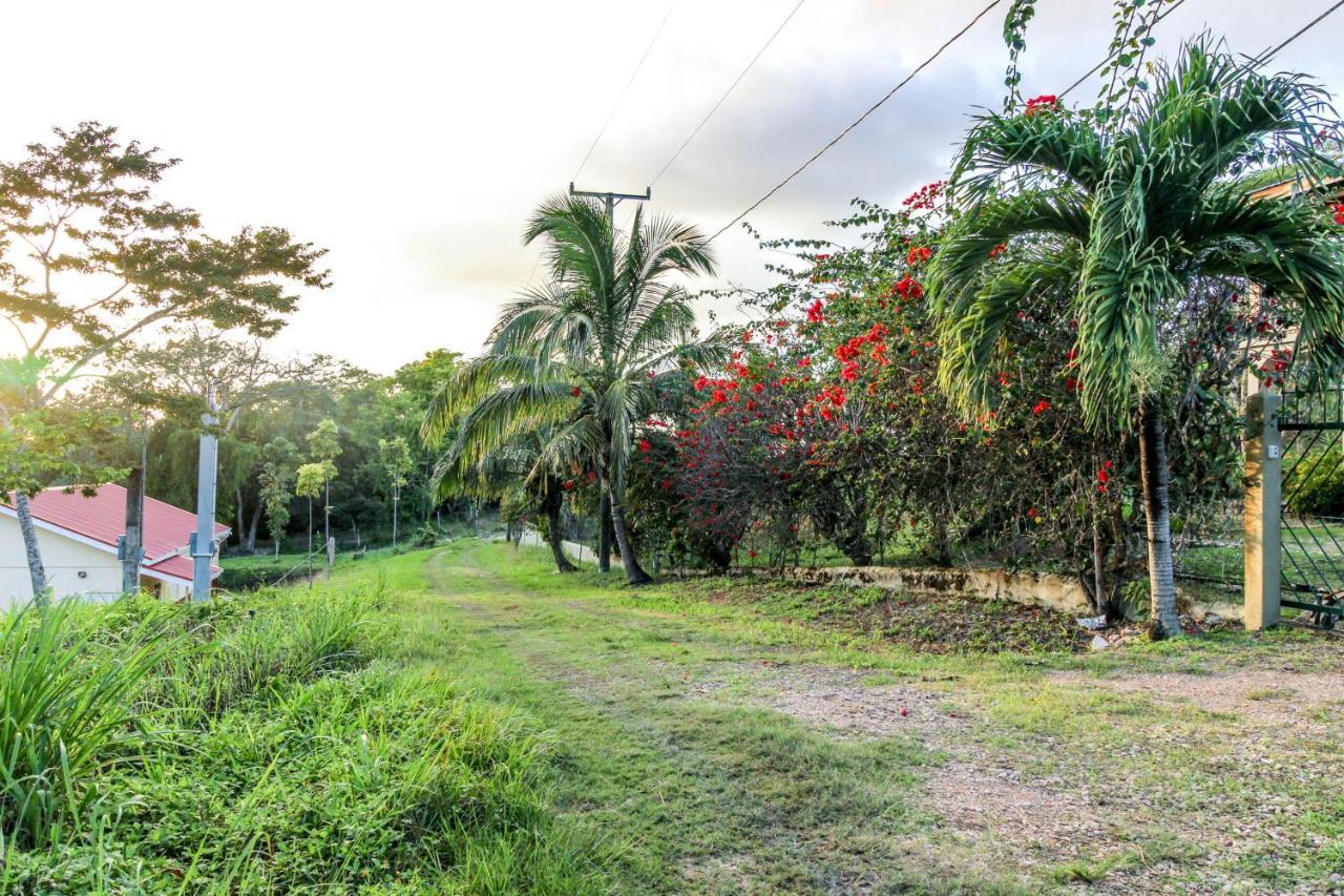 Villa Maya Gold Standard And Certified San Ignacio Exterior foto